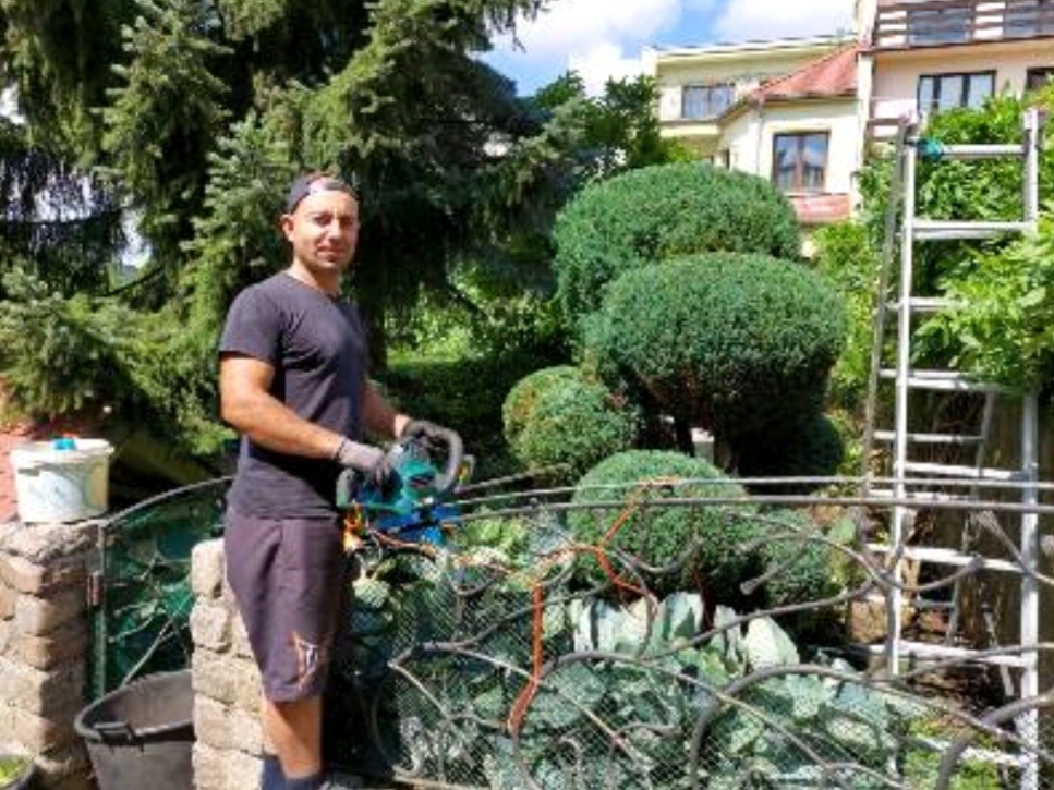 Mężczyzna w ogrodzie, w rękawicach, przycina ozdobne krzewy za pomocą elektrycznych nożyc, na tle domu i drabiny.