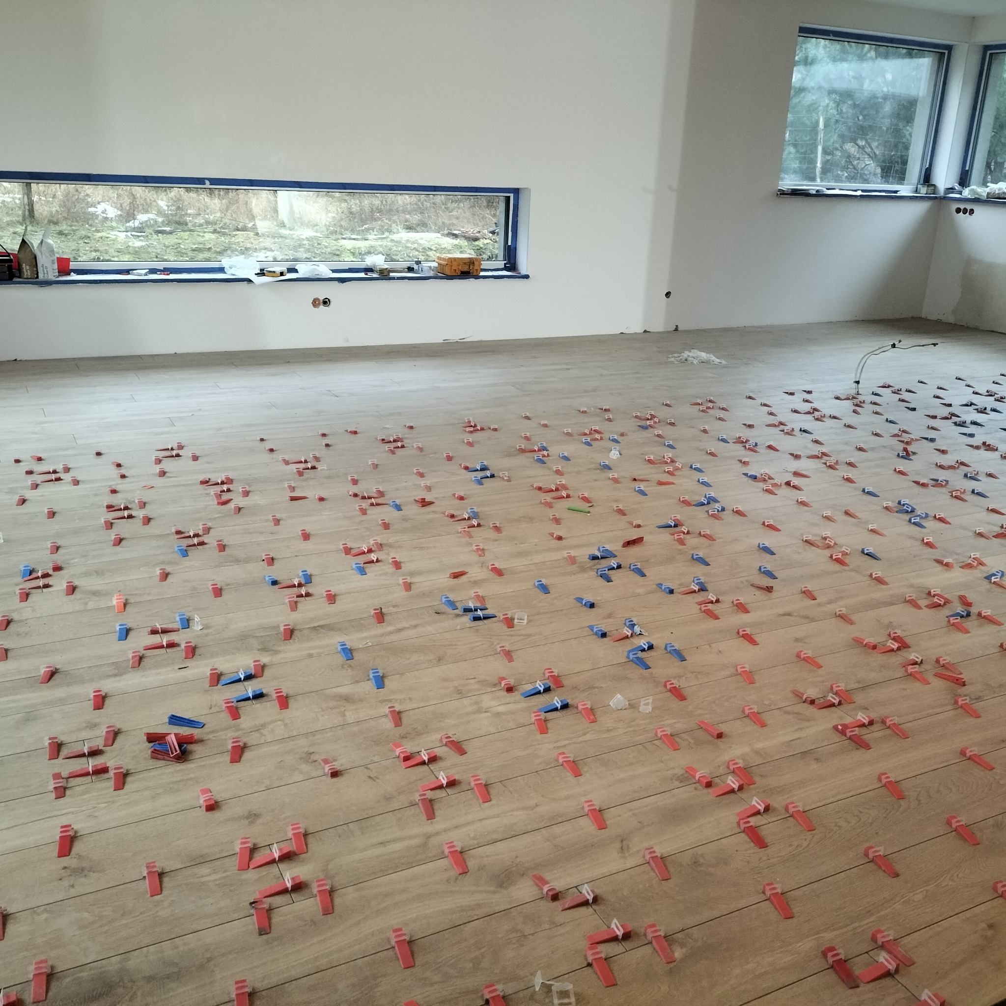 Układanie drewnopodobnych płytek podłogowych z użyciem czerwonych i niebieskich klinów poziomujących w nowym pomieszczeniu z dużym oknem i zabezpieczonymi taśmą malarską ścianami.