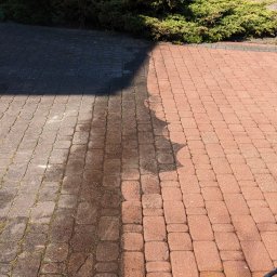 SOLID WORK Grzegorz Nieleszczuk - Częściowo wyczyszczona kostka brukowa, ukazująca różnicę między brudną, ciemną powierzchnią a czystą, czerwoną kostką. W tle widoczny krzew.