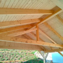 Jasna więźba dachowa z drewna świerkowego, widok od dołu, z fragmentem zielonego zbocza w tle. Element konstrukcyjny z widocznymi belkami i deskowaniem.