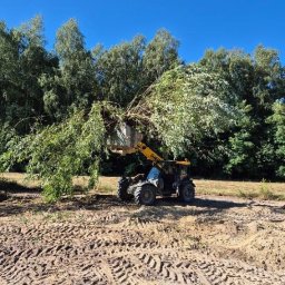 Firma Handlowo Usługowa - Żółta ładowarka teleskopowa unosi ścięte gałęzie na tle zielonego lasu i błękitnego nieba, widoczne ślady opon na ziemi.