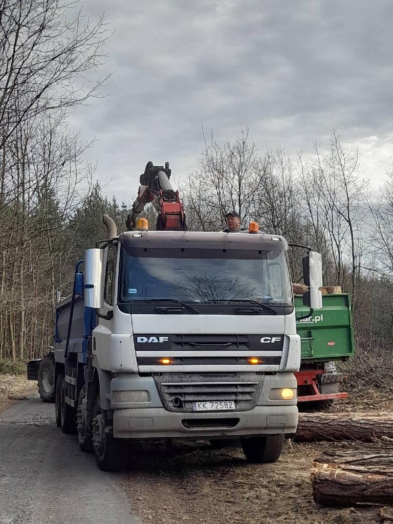 Ciężarówka DAF CF z zamontowanym żurawiem hydraulicznym na leśnej drodze, załadowana drewnem, widoczny operator w kabinie.