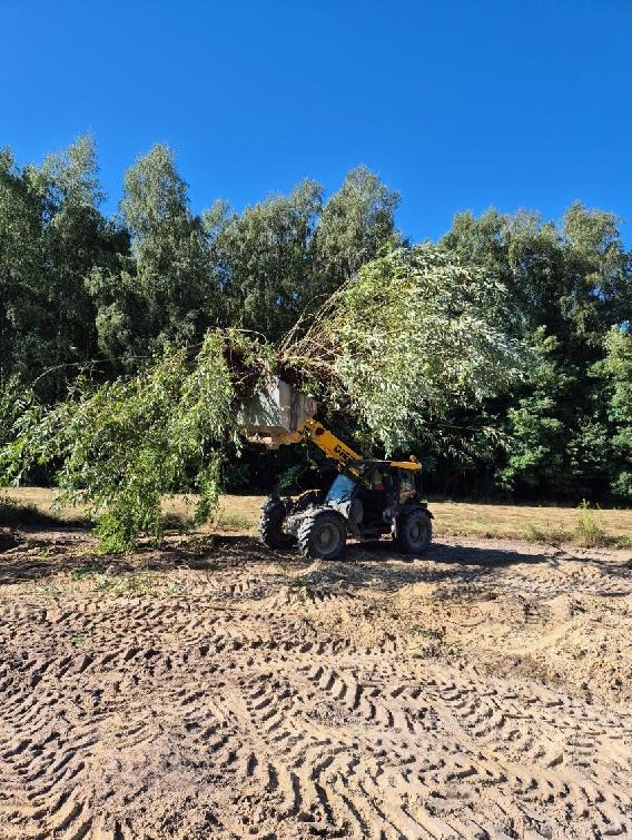 Żółta ładowarka teleskopowa unosi ścięte gałęzie na tle zielonego lasu i błękitnego nieba, widoczne ślady opon na ziemi.