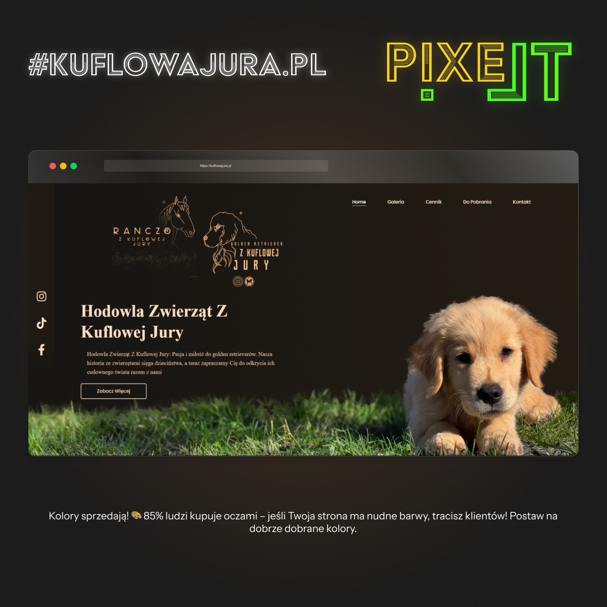Zrzut ekranu strony internetowej hodowli psów KuflowaJura.pl z widocznym szczenięciem golden retrievera w trawie, logo hodowli i menu nawigacyjnym.