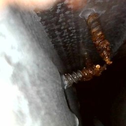 Pogotowie hydrauliczne Janikowo 4