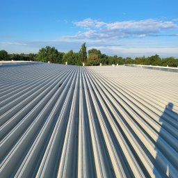 OneXpol - Widok z góry na połacie dachu hali przemysłowej pokrytego panelami warstwowymi, z widocznym cieniem osoby po prawej stronie i drzewami w tle pod błękitnym niebem.