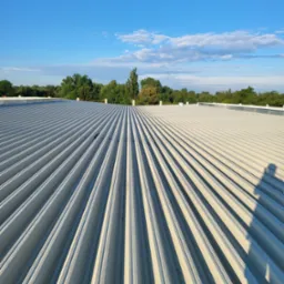 Widok z g&oacute;ry na połacie dachu hali przemysłowej pokrytego panelami warstwowymi, z widocznym cieniem osoby po prawej stronie i drzewami w tle pod błękitnym niebem.