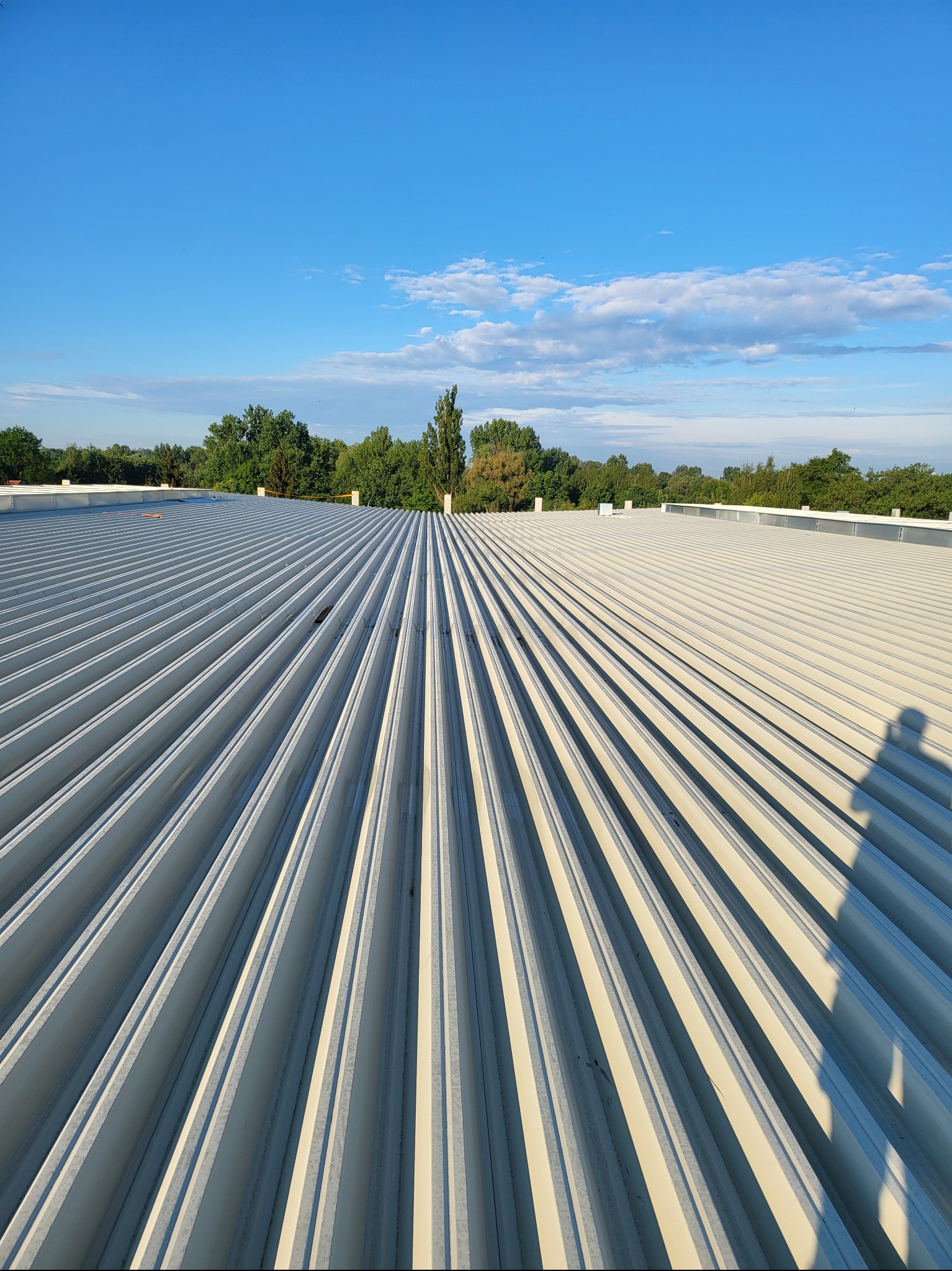 Widok z góry na połacie dachu hali przemysłowej pokrytego panelami warstwowymi, z widocznym cieniem osoby po prawej stronie i drzewami w tle pod błękitnym niebem.