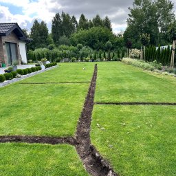 Trawa z rolki Radziejowice 4