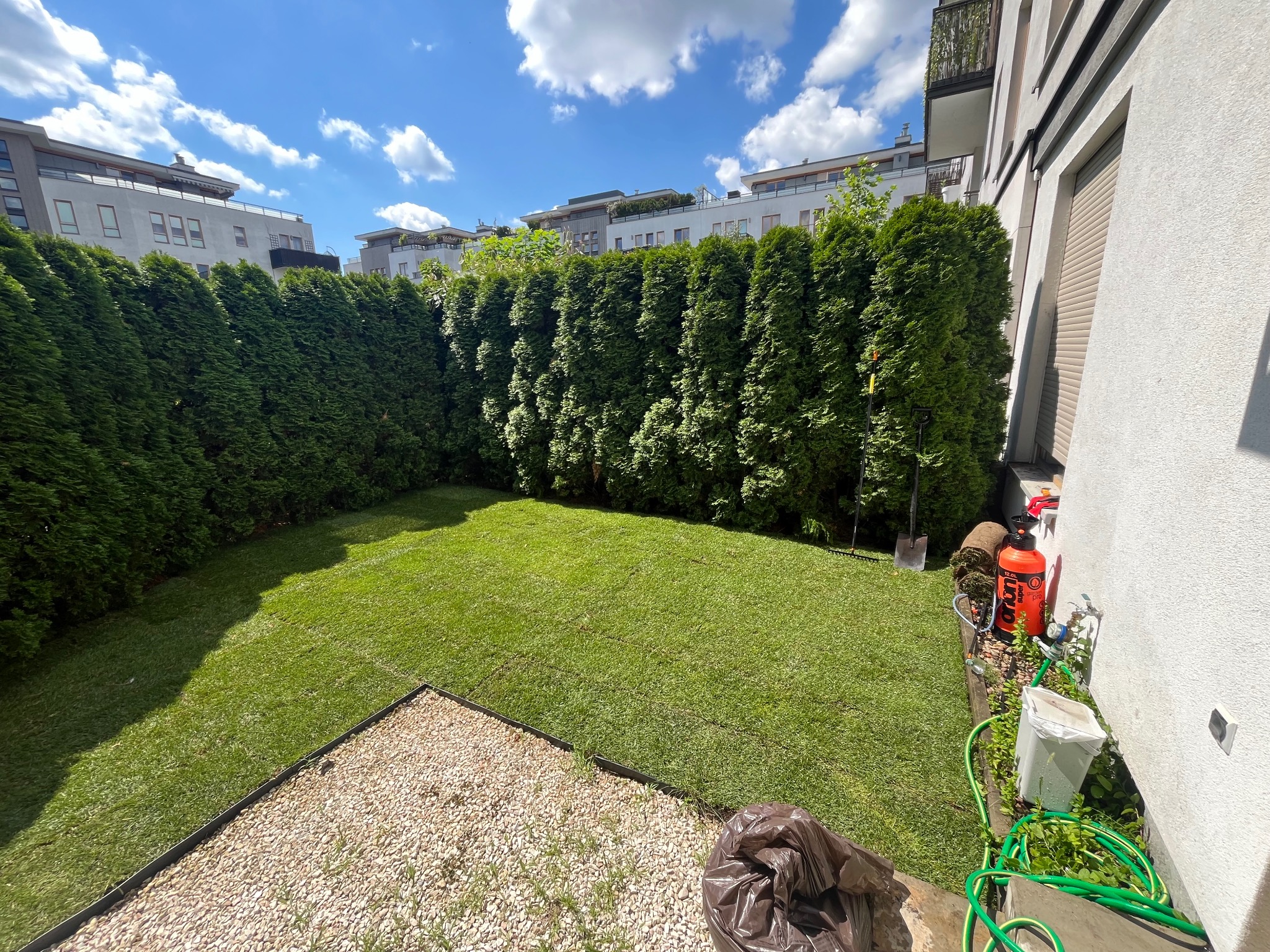 Świeżo rozłożony trawnik z rolki w ogrodzie miejskim, widoczne tuje wzdłuż ogrodzenia, fragment wyłożony kamykami, narzędzia ogrodnicze i rolki trawy w tle, słoneczny dzień.