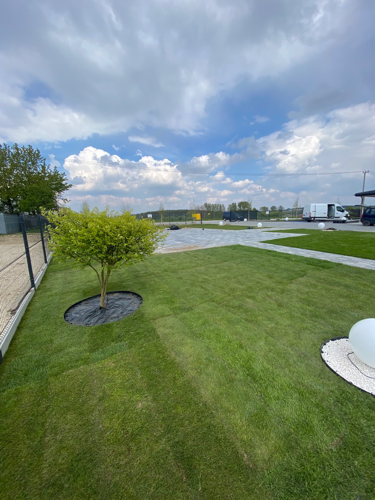 Świeżo założony trawnik z młodym drzewkiem w osłonie, ścieżka z jasnych płyt i dekoracyjne kule ogrodowe, w tle samochody dostawcze.