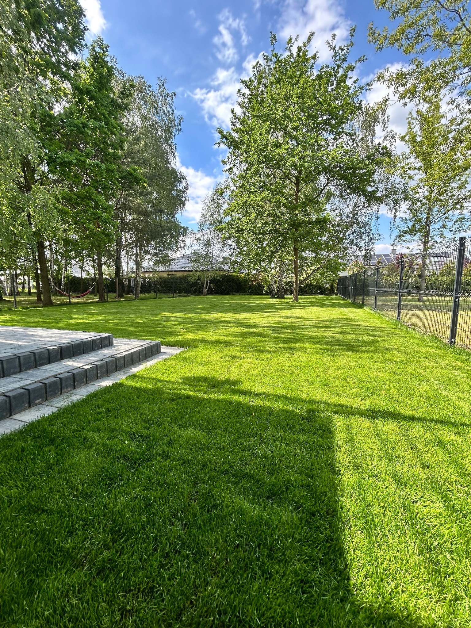 Zadbany trawnik z rolki, widok z perspektywy schodów. W tle drzewa i ogrodzenie. Soczysta zieleń trawy podkreślona przez słoneczne światło.