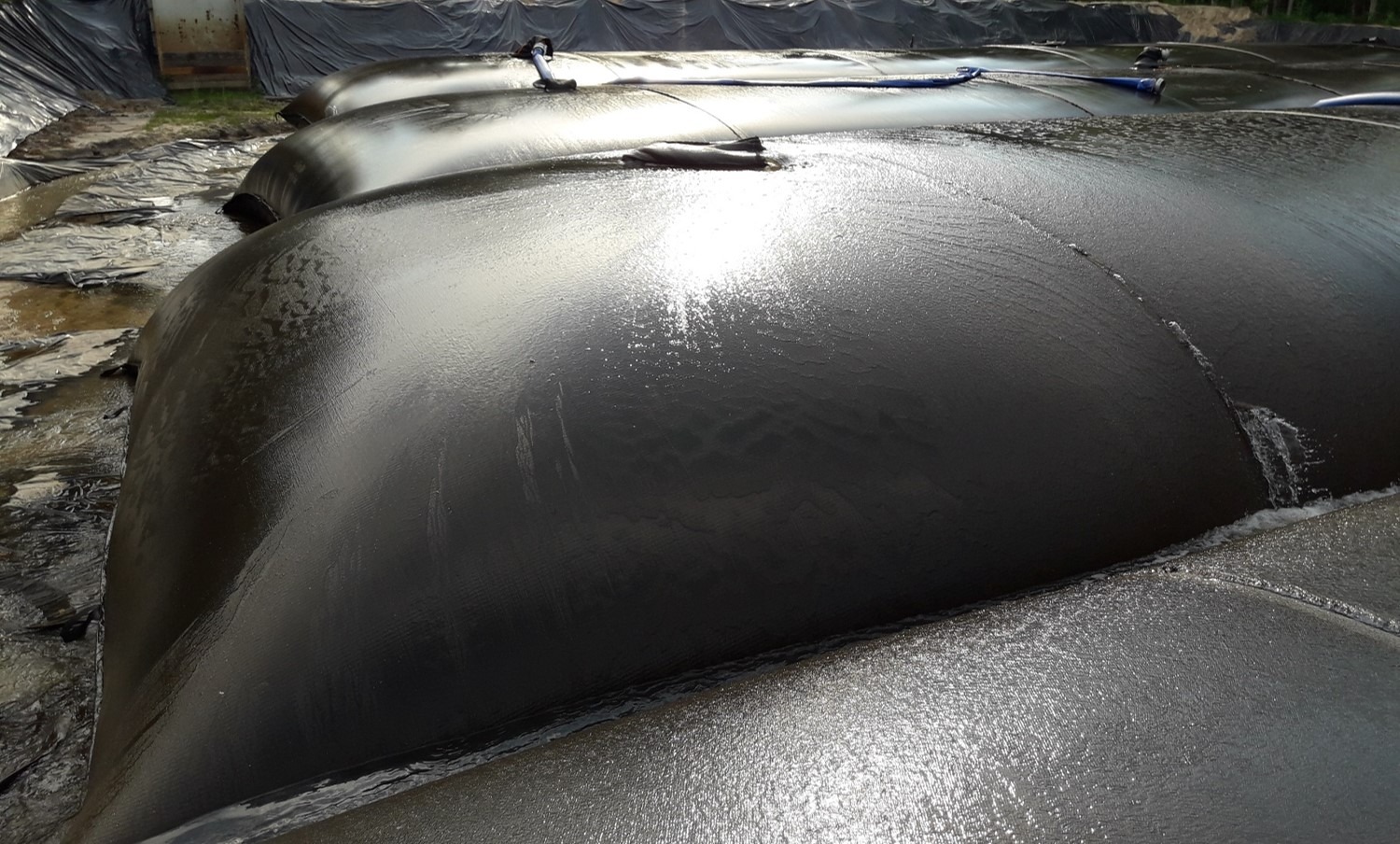 Szereg wypełnionych, czarnych zbiorników na wodę z widocznymi rurami i odblaskami słońca, otoczonych folią ochronną, sugerujących etap prac przy wykopanym stawie.