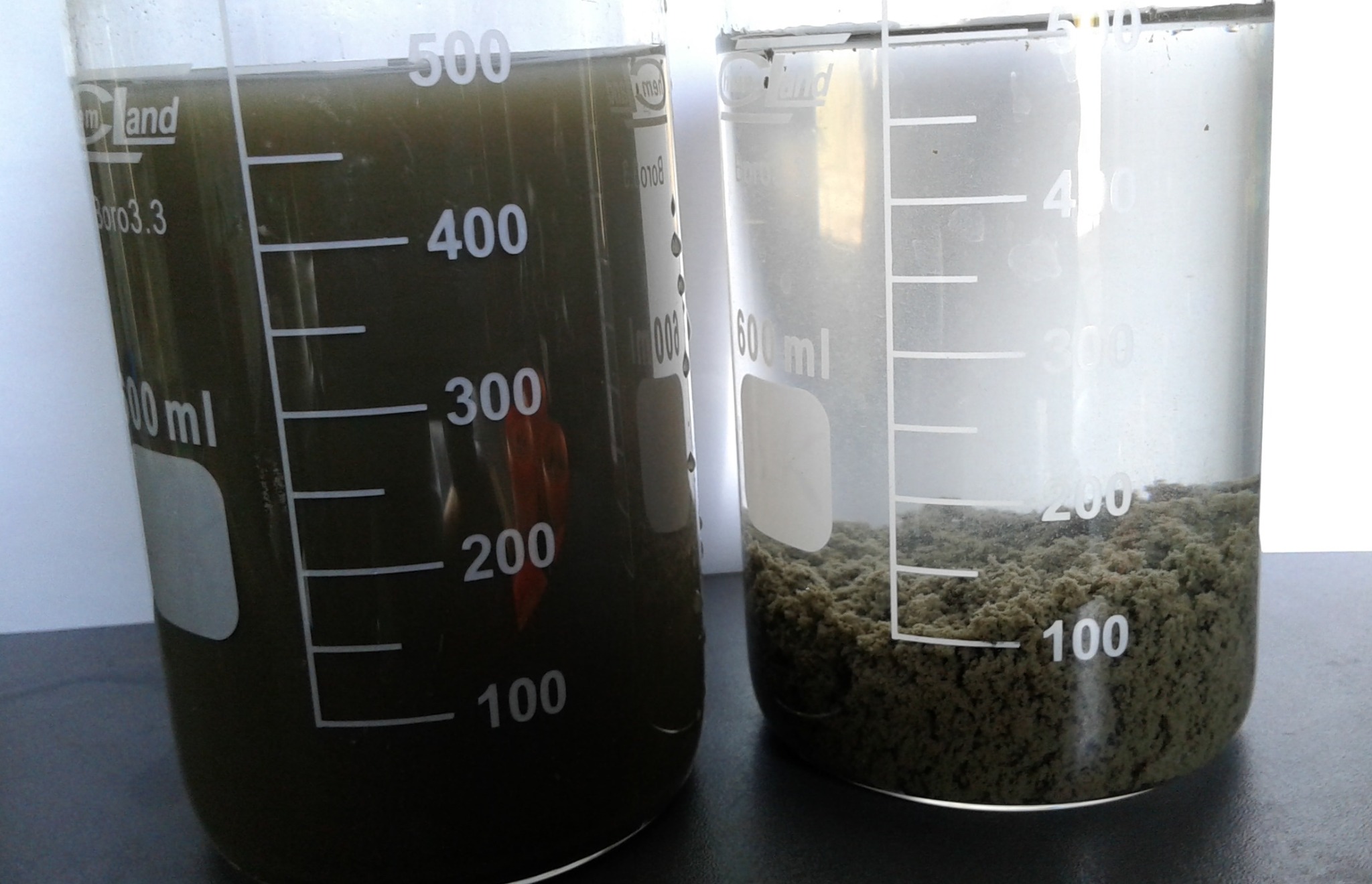 Dwa cylindry miarowe: jeden z ciemną, mętna cieczą, drugi z osadem na dnie. Analiza jakości wody lub gleby w laboratorium.