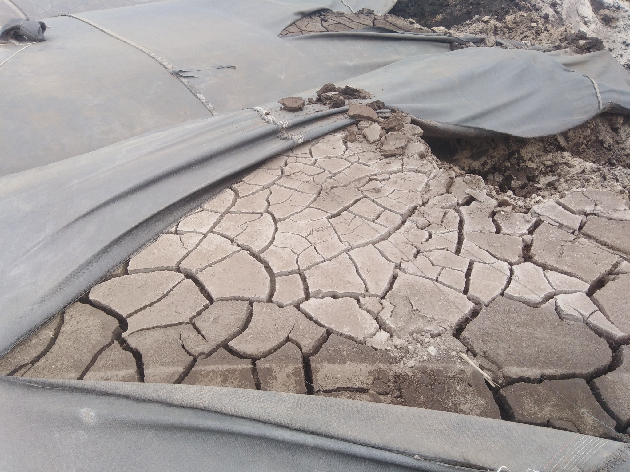 Wyschnięte dno stawu z popękaną ziemią, częściowo przykryte szarą folią ochronną. Widoczne grudki ziemi i fragmenty gruntu. Ujęcie z bliska.