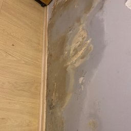 Sprzątanie mieszkań Gdynia 1