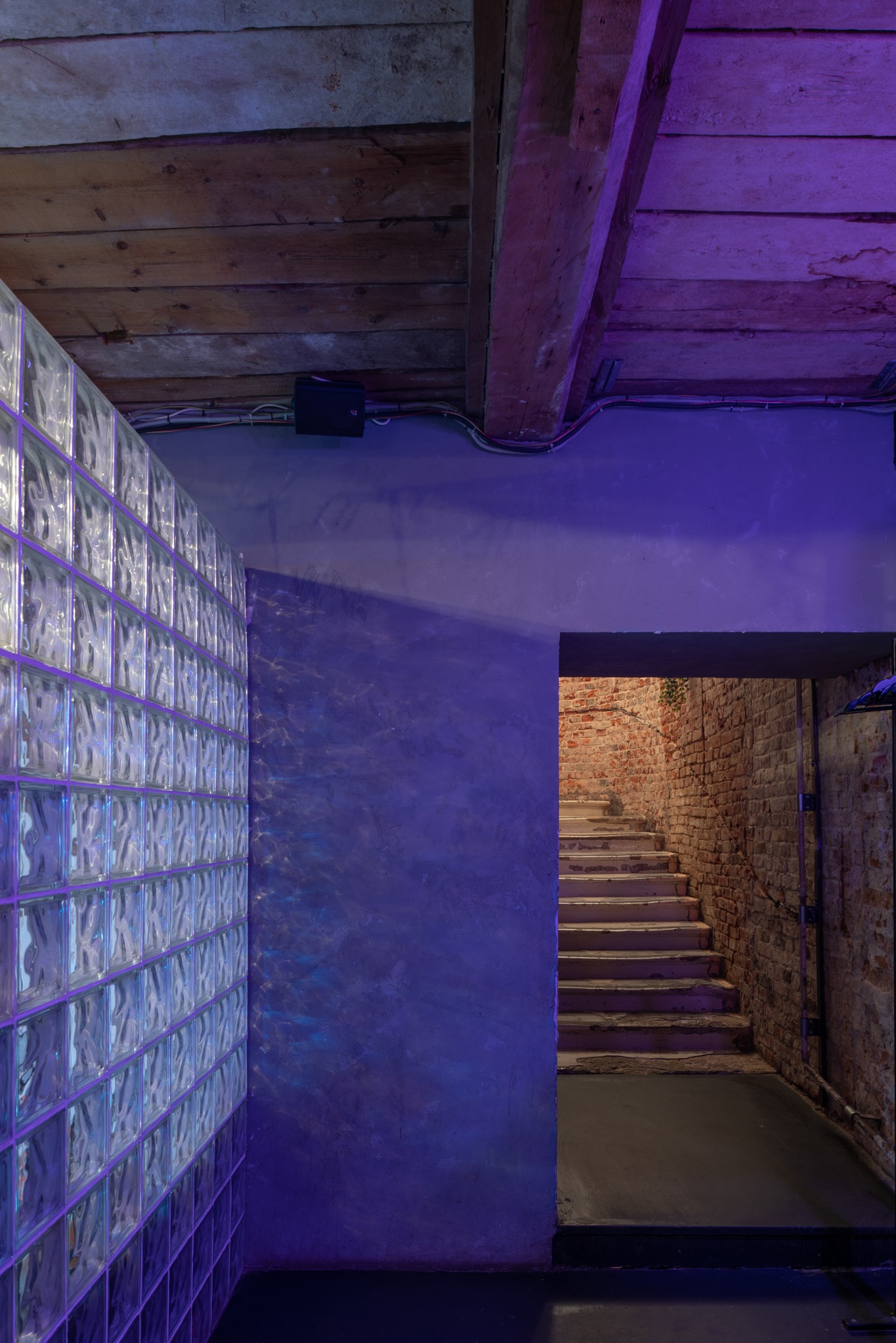 Wnętrze z ścianą z luksferów, surowym drewnianym sufitem i schodami z cegły w tle, oświetlone fioletowym światłem.