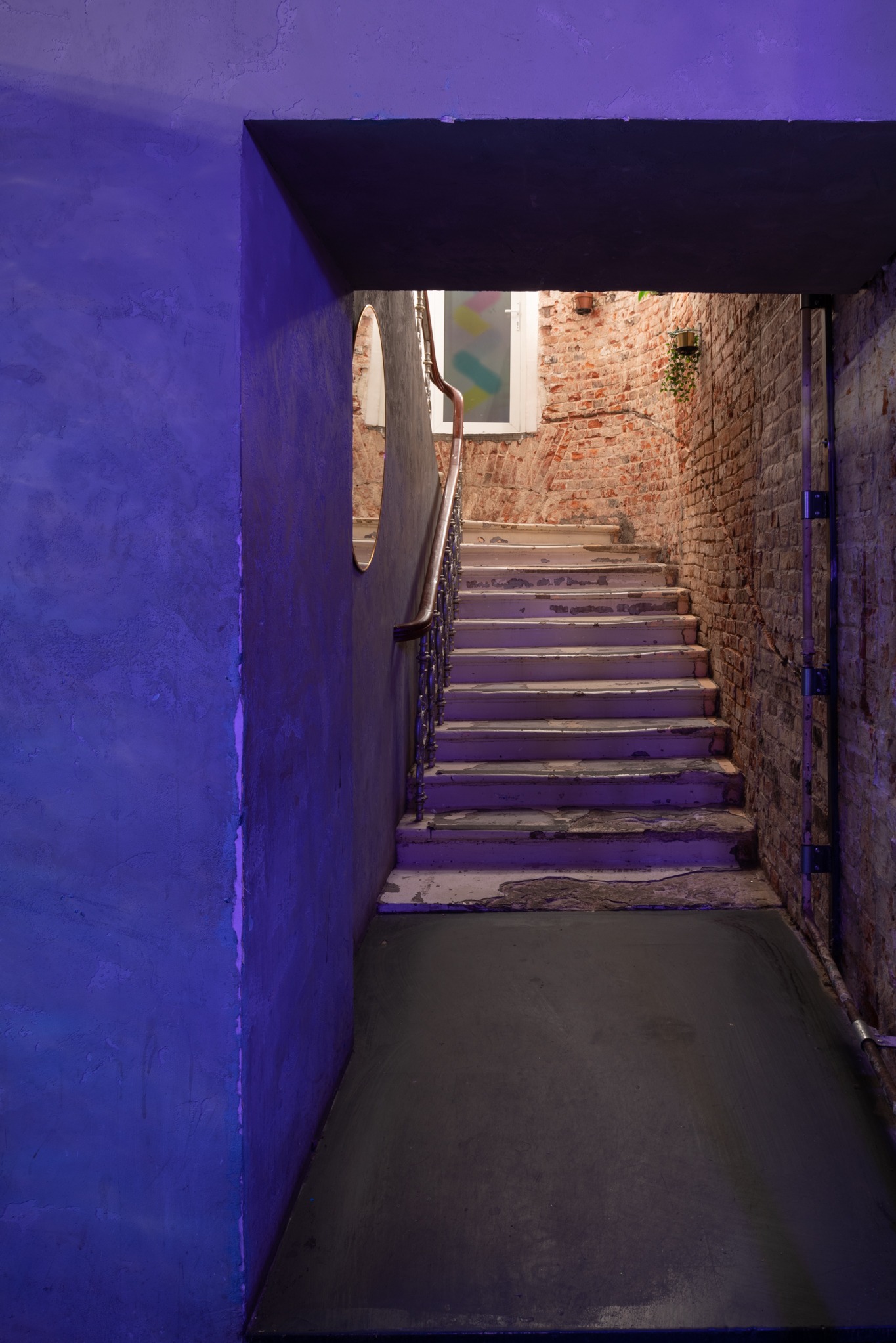 Schody z oświetleniem w odcieniach fioletu prowadzące do ceglanej ściany z oknem i roślinami doniczkowymi.