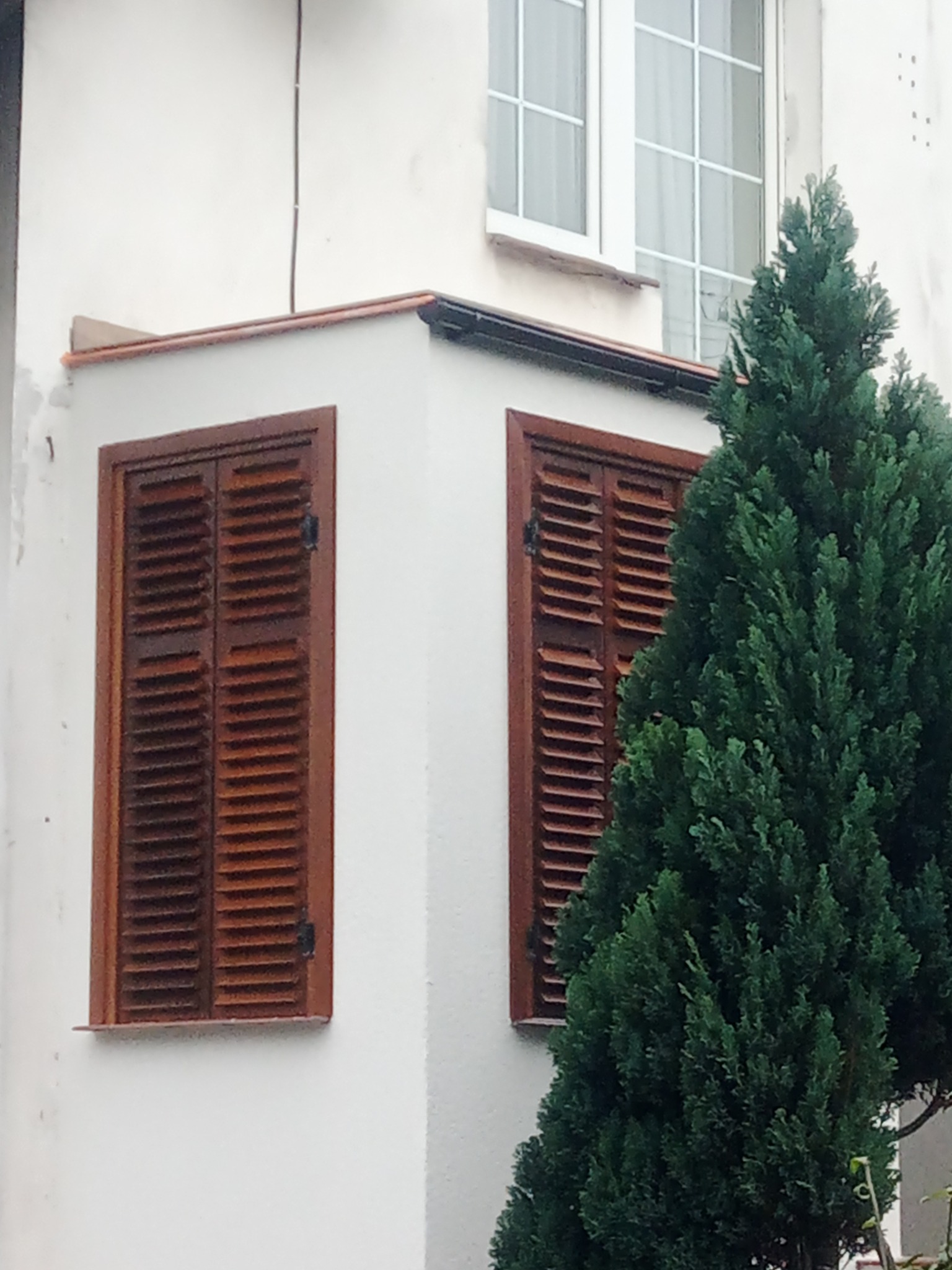 Fragment elewacji budynku z dwoma oknami z drewnianymi okiennicami, częściowo zasłonięty przez zielone drzewko iglaste.