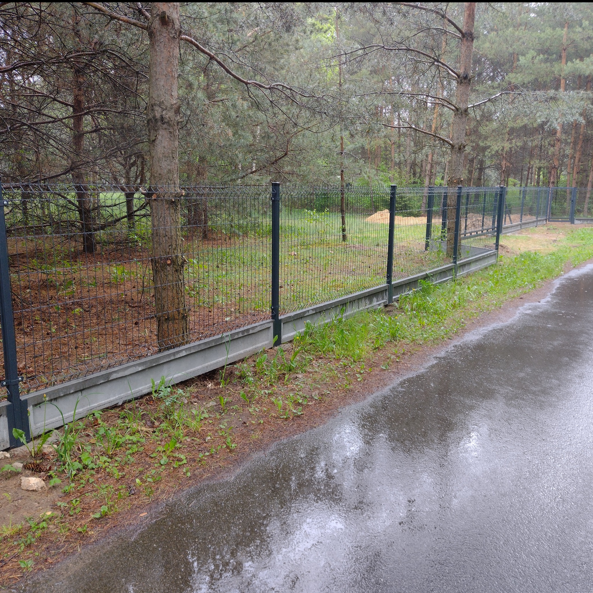 Długi, szary panelowy płot z podmurówką betonową, biegnący wzdłuż leśnej drogi w deszczowy dzień, z widocznymi drzewami w tle.