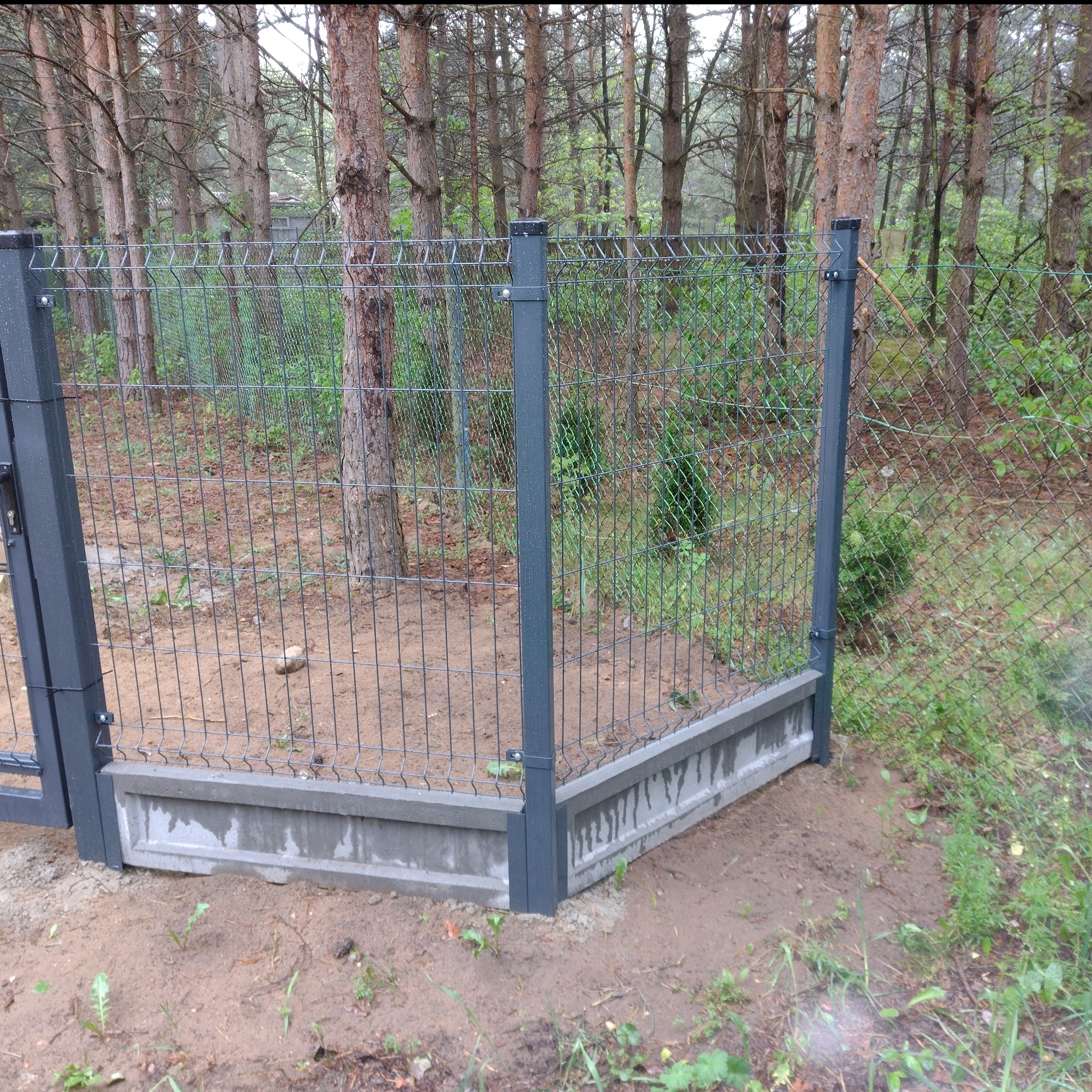 Szary panel ogrodzeniowy z podmurówką betonową, widok na las przez siatkę, teren po deszczu.