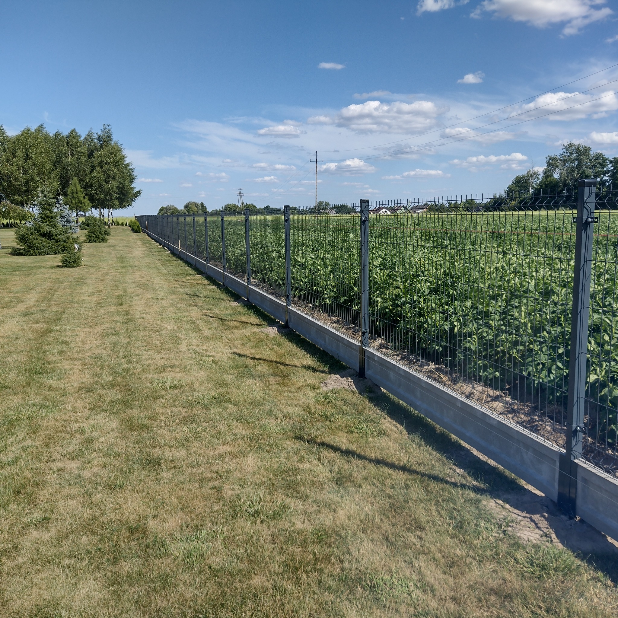 Długa, szara, metalowa siatka ogrodzeniowa z betonową podmurówką, oddzielająca trawnik od uprawy polnej w słoneczny dzień.