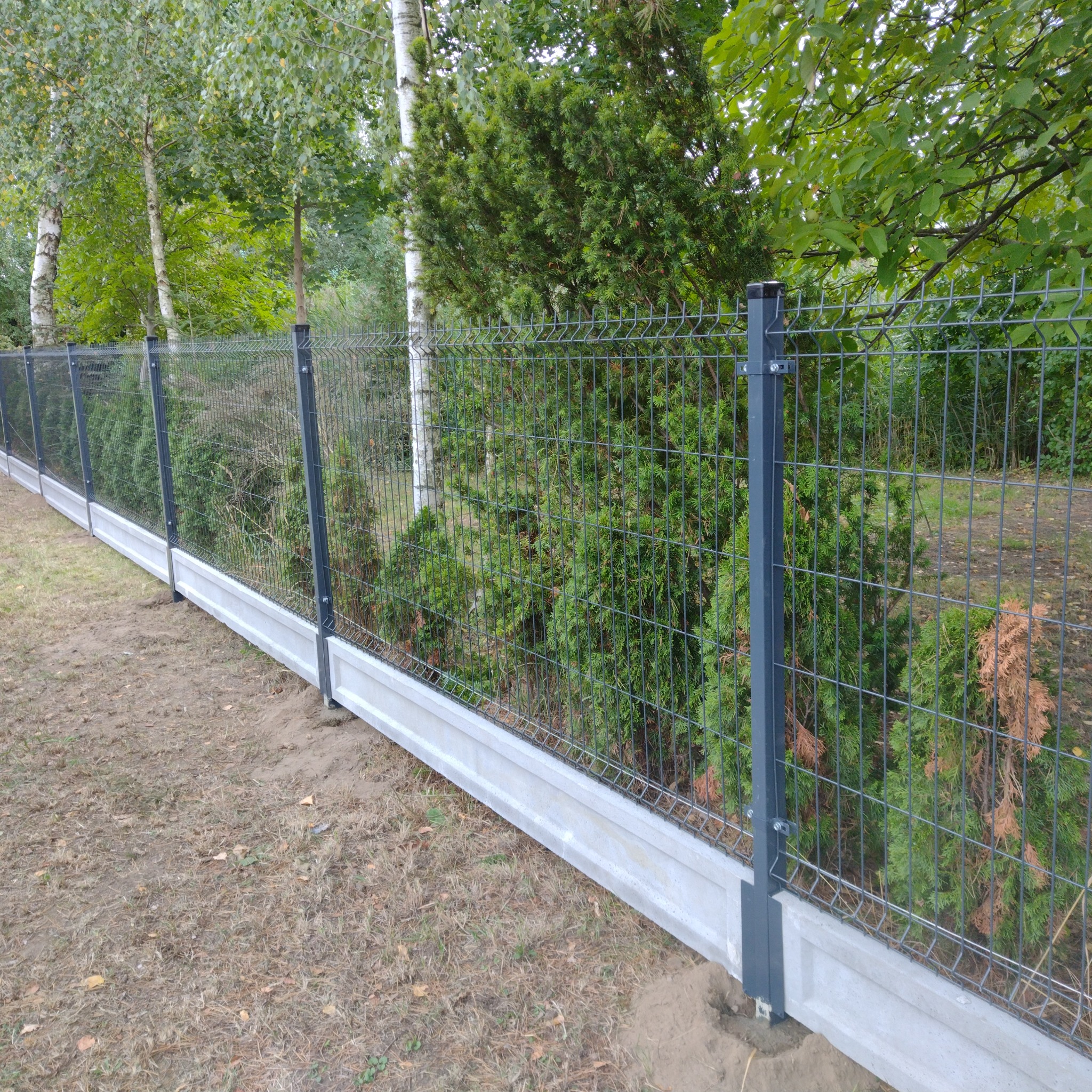 Szara siatka ogrodzeniowa na betonowej podmurówce, widok na drzewa i krzewy w tle.