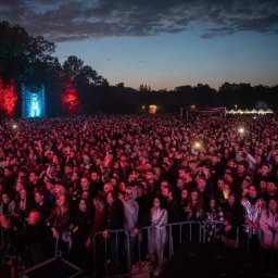 VLVV HOLDINGS - Tłum ludzi na koncercie plenerowym o zmierzchu, oświetlony czerwonymi i niebieskimi światłami sceny.