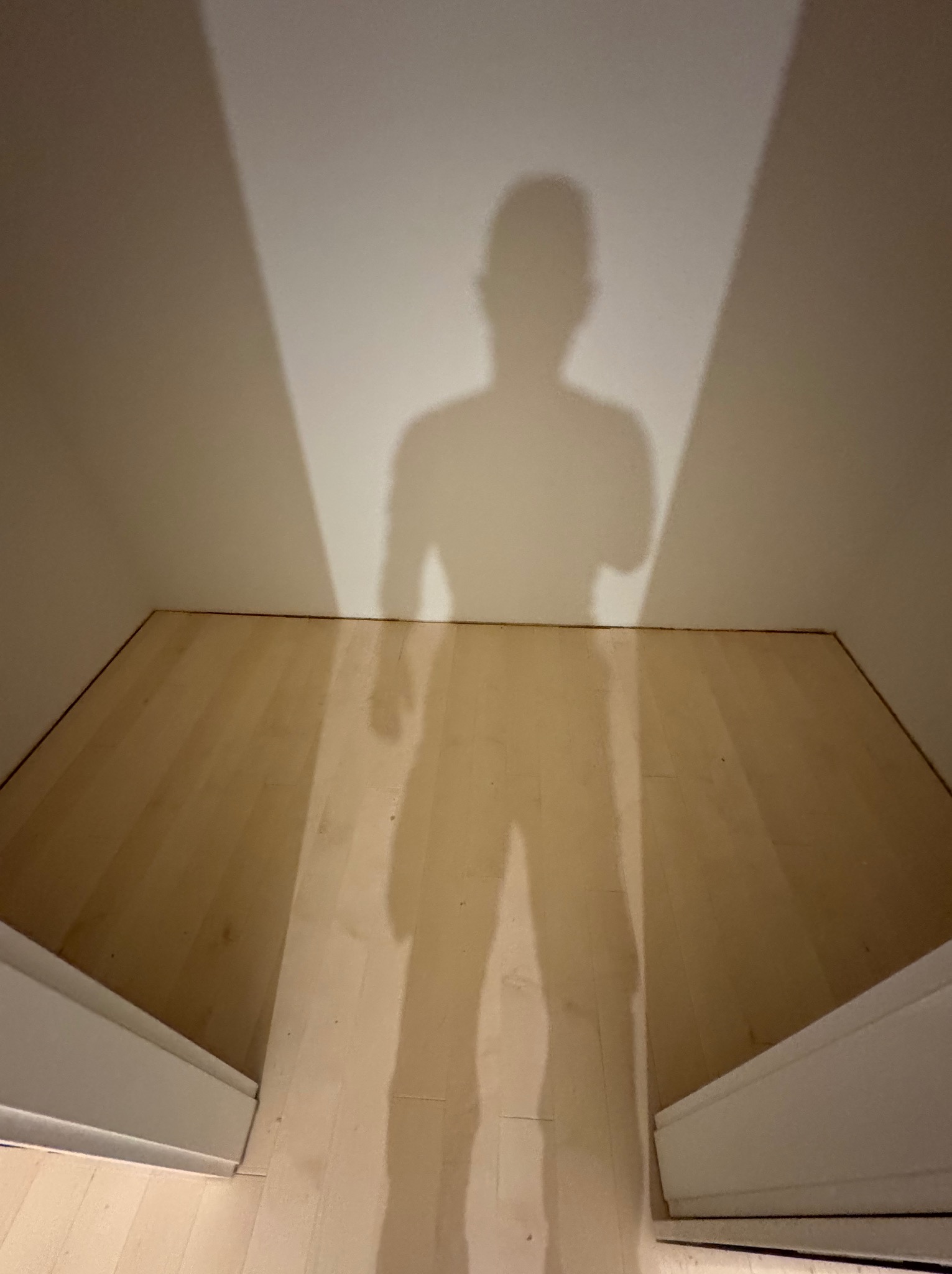 Świeżo ułożone panele podłogowe w jasnym odcieniu drewna, z cieniem osoby rzucanym na ścianę, tworzącym unikalny efekt wizualny.