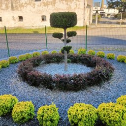 Usługi ogrodniczo budowlane Marcin Ostojski - Ogród z centralnie umieszczonym drzewem formowanym w geometryczne bryły, otoczonym pierścieniem z bordowych krzewów i obwódką z żółtych, kulistych roślin, wszystko na tle szarego żwiru.