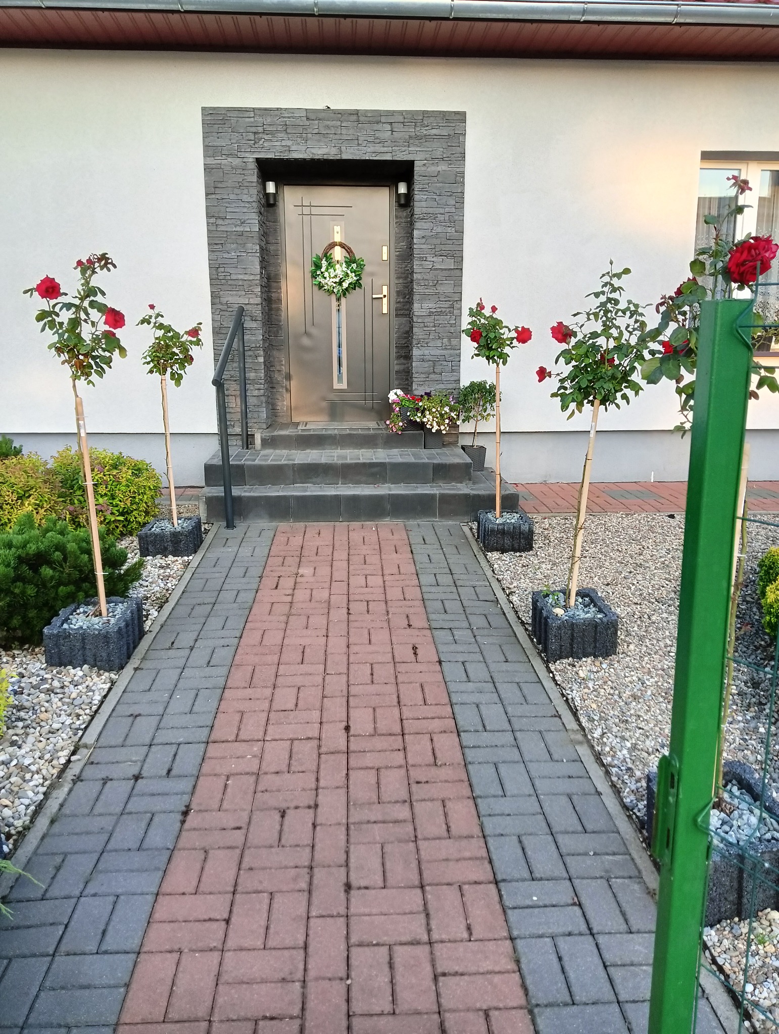 Wejście do domu z szarą kostką brukową w odcieniach czerwieni, po bokach drzewka róż w donicach z kamieniami, drzwi wejściowe z szarą obudową z kamienia i wiankiem.