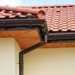 Dekarsko-Blacharskie