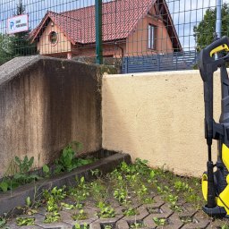 Koszenie trawy Szczecin 2