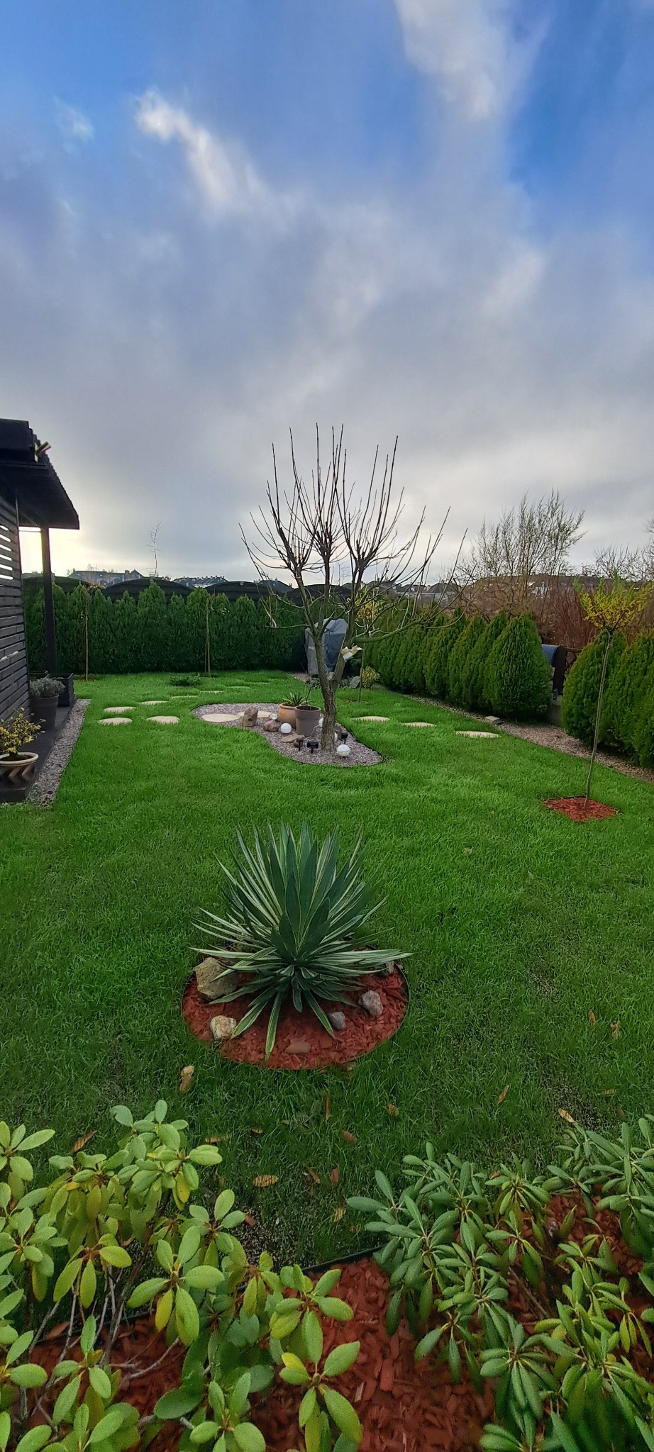 Zadbany ogród z równo przystrzyżonym trawnikiem, ozdobnymi krzewami i drzewem bez liści, otoczony tujami, widok z perspektywy ziemi.