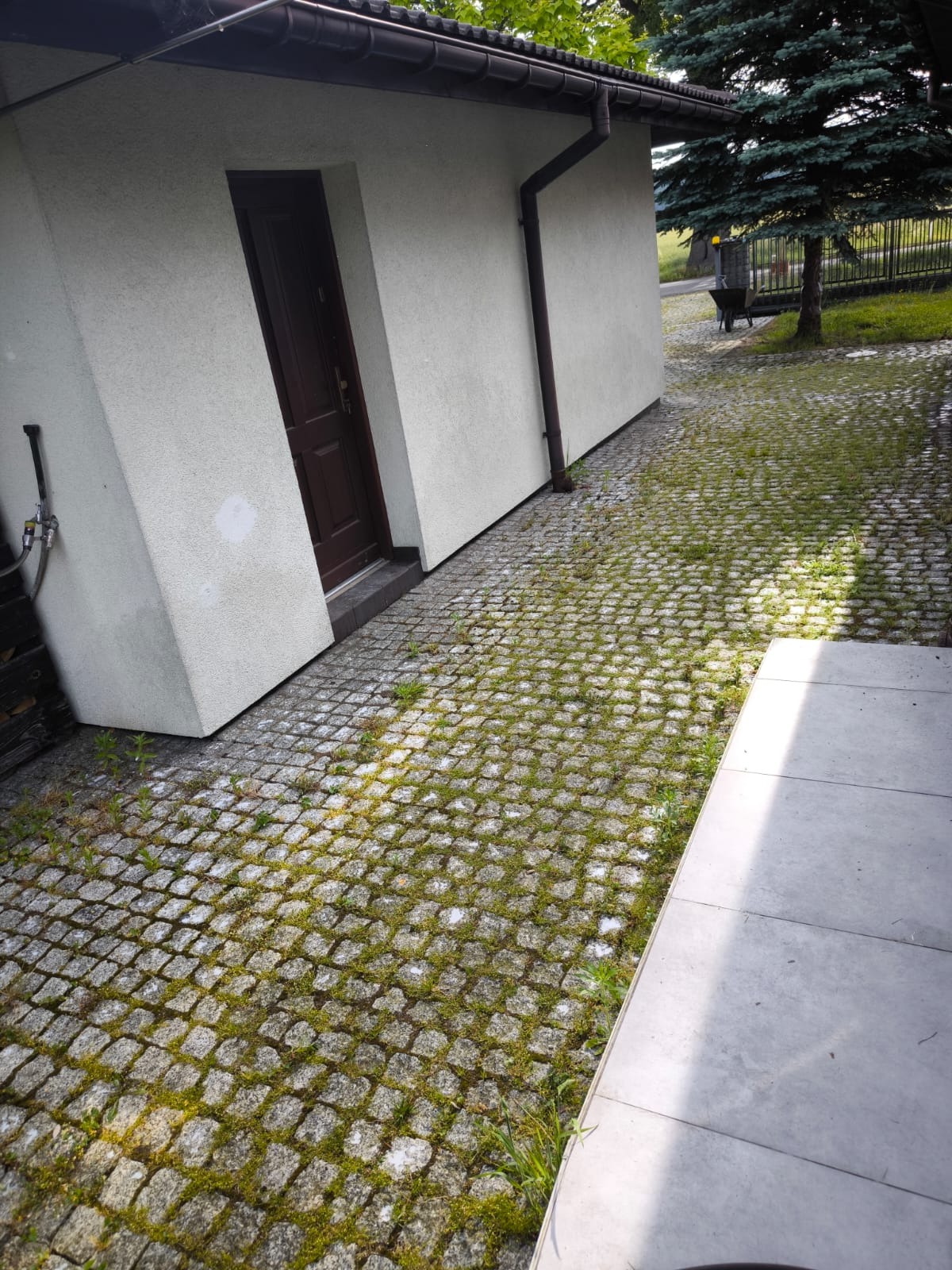 Zarośnięta kostka brukowa przed budynkiem z brązowymi rynnami i drzwiami. Widoczne fragmenty elewacji i zieleń. Kostka wymaga czyszczenia.