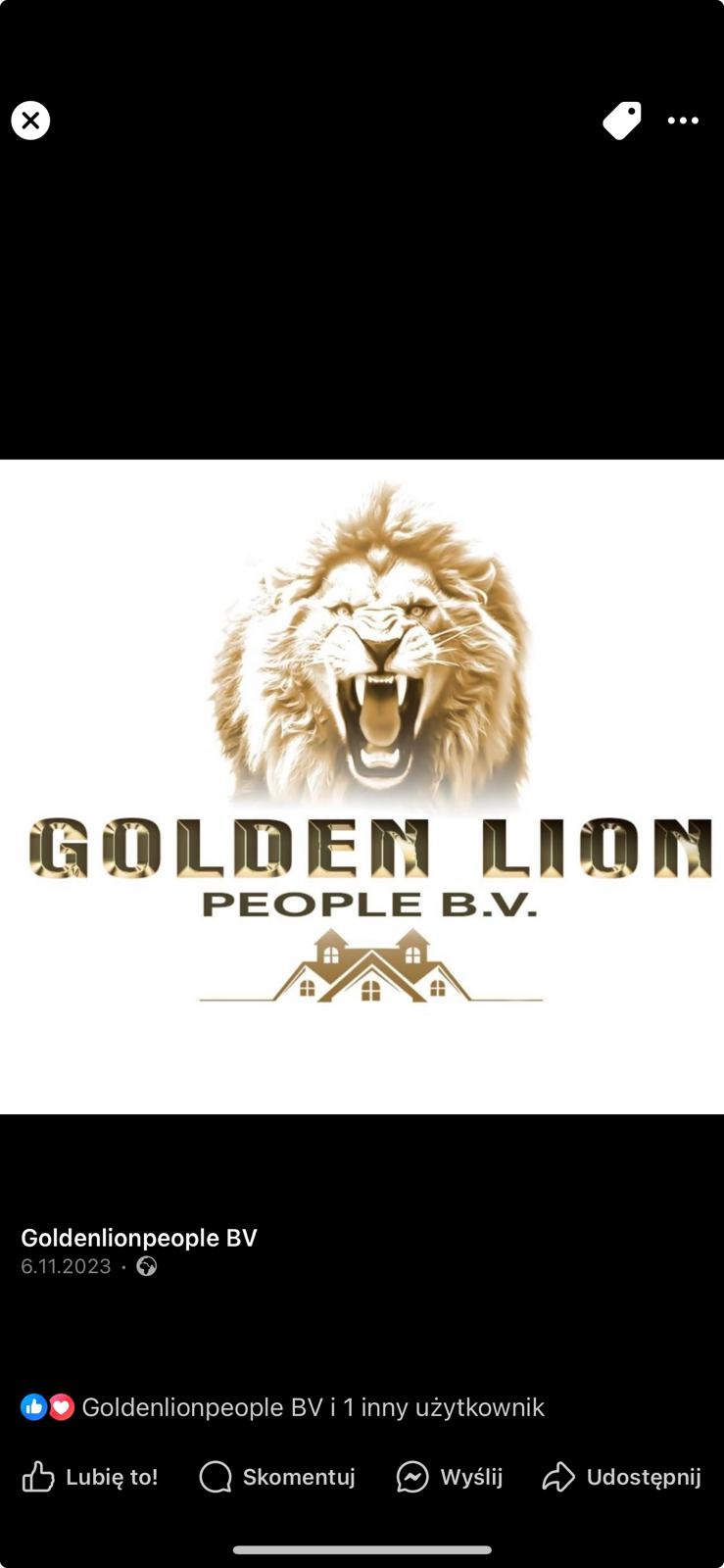 Logo firmy budowlanej Golden Lion People B.V. przedstawiające złotego lwa z otwartą paszczą nad stylizowanymi domami.