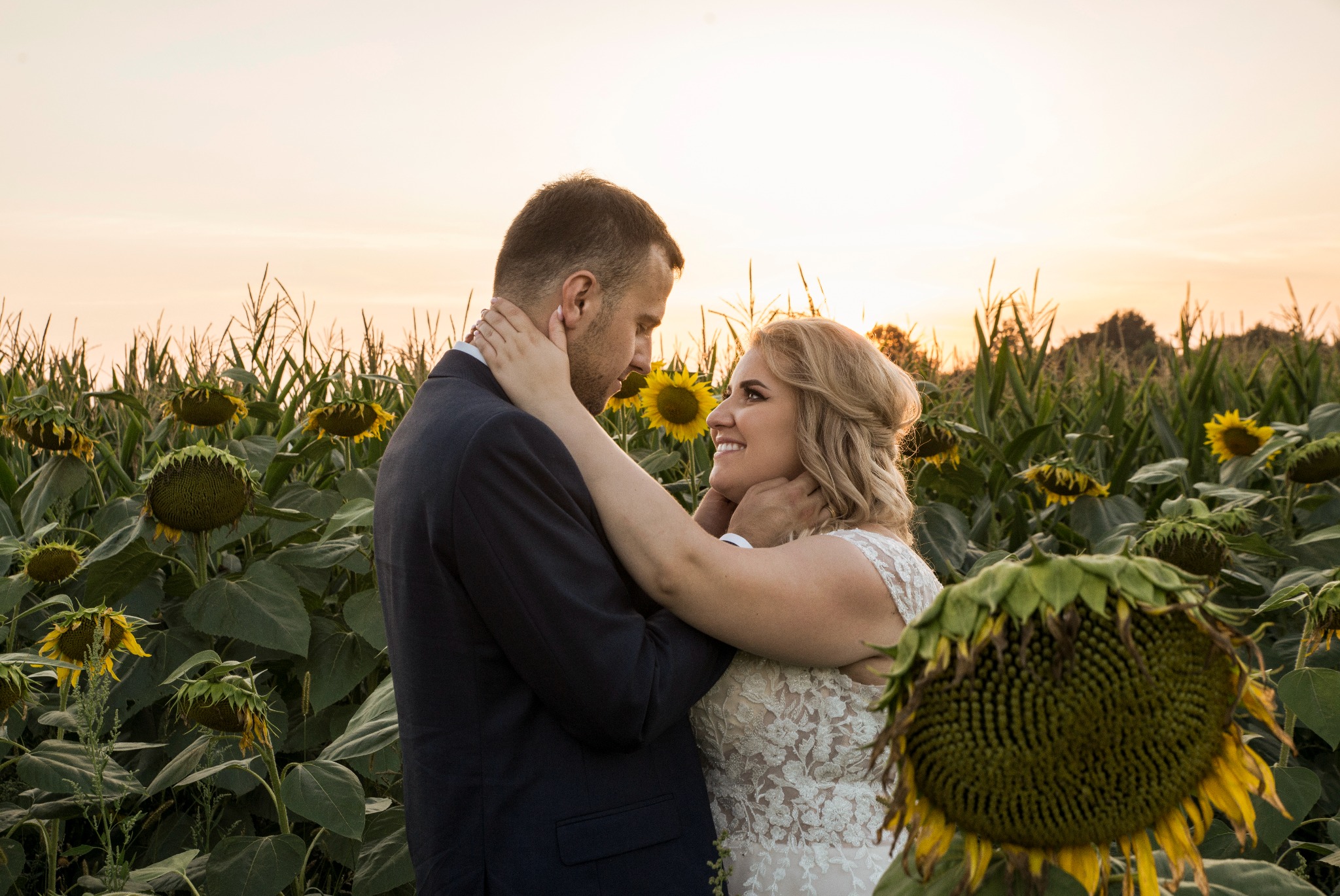 Para młoda w objęciach na tle pola słoneczników o zachodzie słońca. Suknia panny młodej z koronkowymi zdobieniami. Delikatne oświetlenie podkreśla romantyczny nastrój.