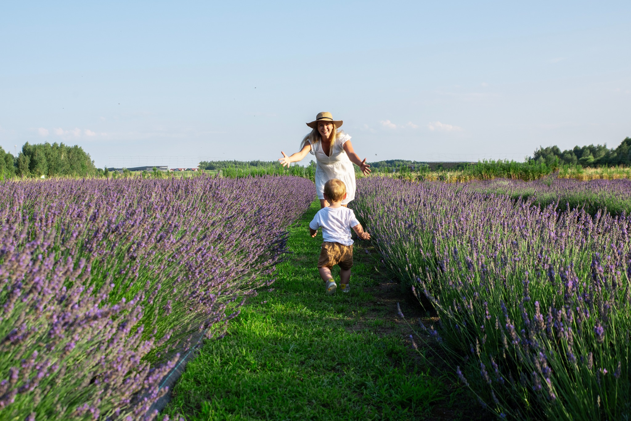 Mama w kapeluszu z rozłożonymi ramionami czeka na synka biegnącego ścieżką przez pole lawendy w słoneczny dzień. Ujęcie z perspektywy dziecka.