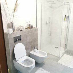 Glazurnik Pawłów 4