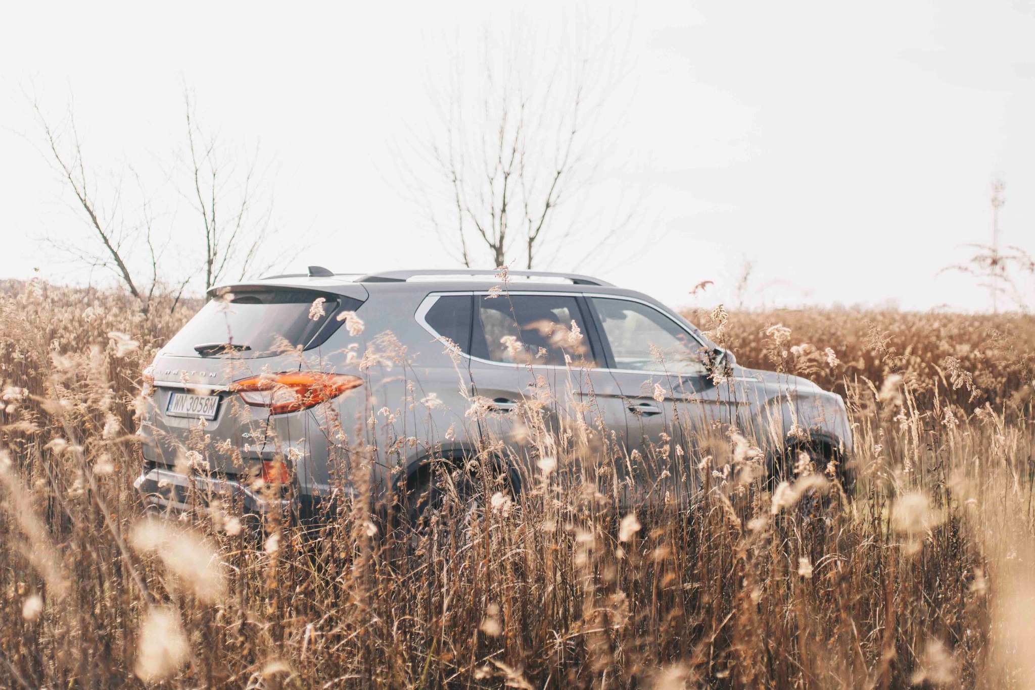 Szary SUV SsangYong Rexton z tablicą WN 3058M, częściowo schowany w wysokiej, suchej trawie na tle jasnego nieba i drzew bez liści. Ujęcie z tyłu, z boku.