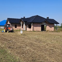 Wycinka drzew Radłów 4