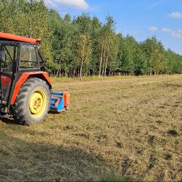 Wycinka drzew Radłów 3