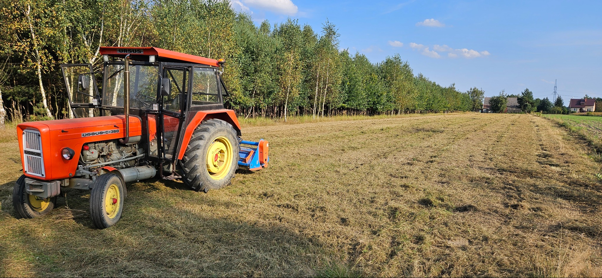 Pomarańczowy traktor Ursus C-360 z żółtymi felgami na polu po skoszeniu trawy, widoczny rząd drzew w tle, błękitne niebo z chmurami.