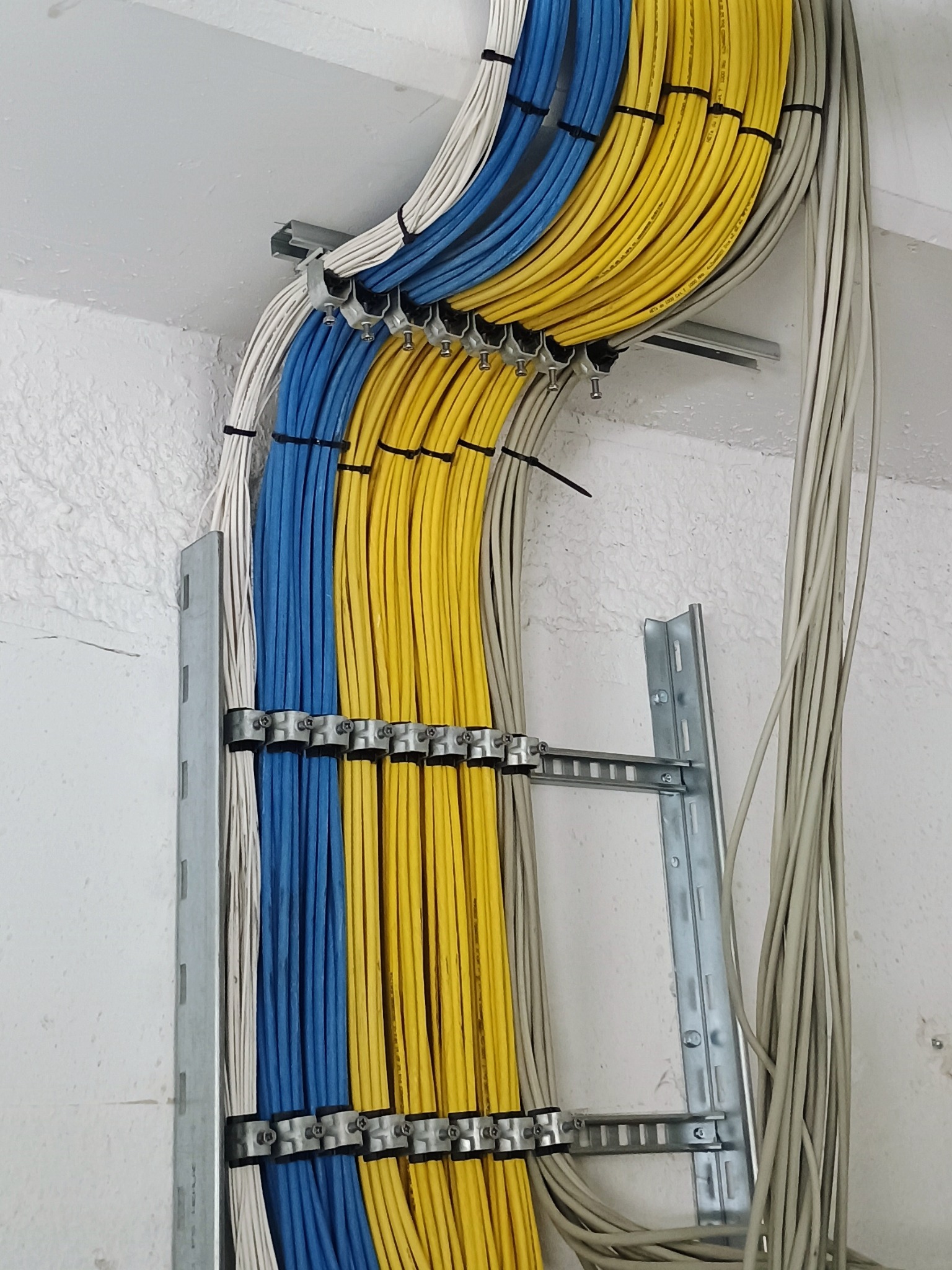 Uporządkowane wiązki kabli elektrycznych w kolorach białym, niebieskim i żółtym, przymocowane do metalowej drabinki na ścianie.