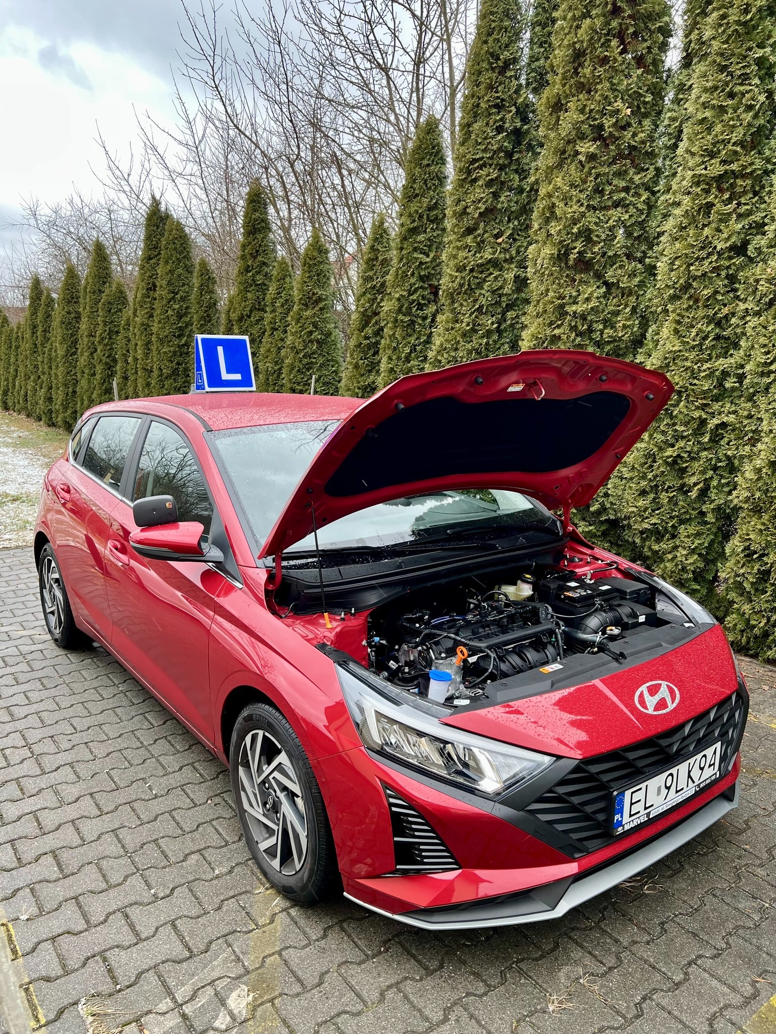 Czerwony samochód z otwartą maską silnika, na dachu niebieska tabliczka z literą L, zaparkowany na brukowanej powierzchni, w tle rząd wysokich tuj.