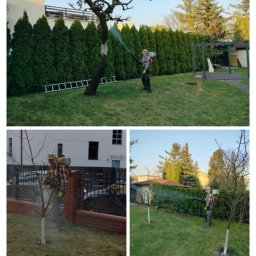 Koszenie trawy Poznań 3