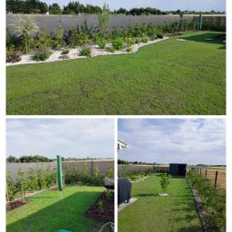 Koszenie trawy Poznań 1