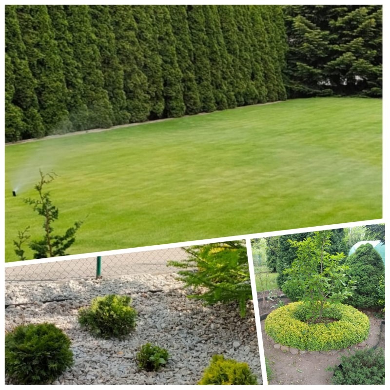 Regulacja nawodnienia, nasadzenia i pielęgnacja