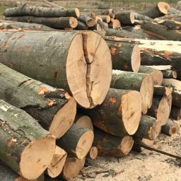 Drewno kominkowe Wieluń 3