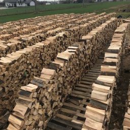 Drewno kominkowe Wieluń 4